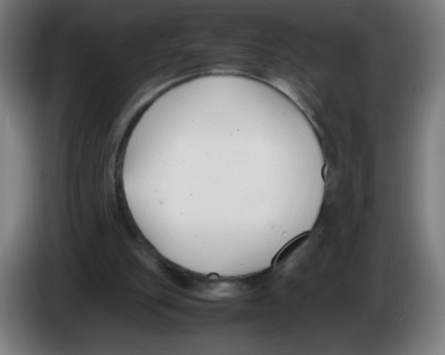 X0000086240151200704261923