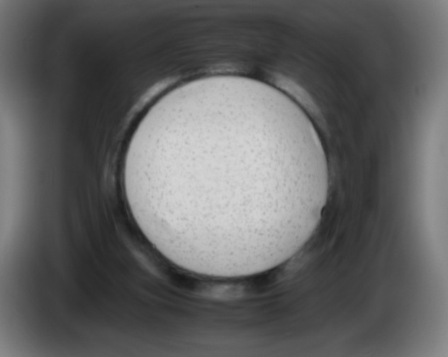 X0000086240155200704261923