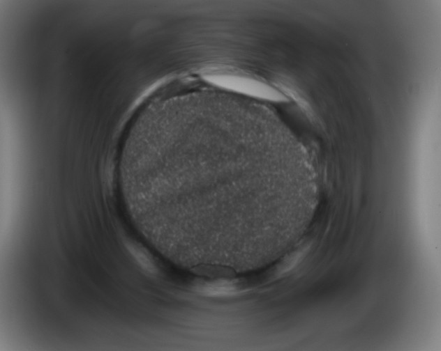 X0000086240156200704261923