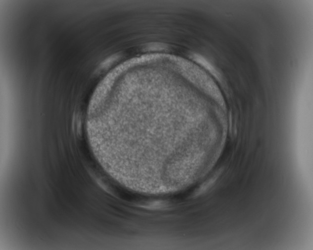 X0000086240157200704261923