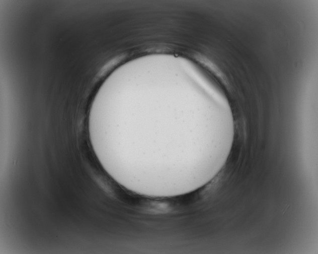 X0000086240159200704261923
