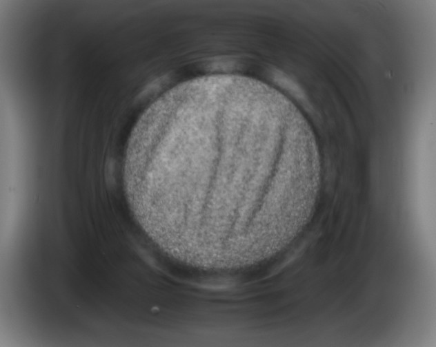 X0000086240161200704261923