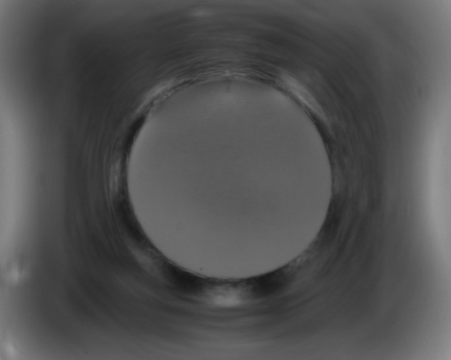 X0000086240163200704261923