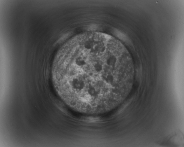 X0000086240165200704261923