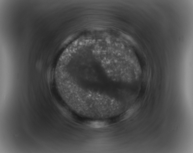 X0000086240168200704261923