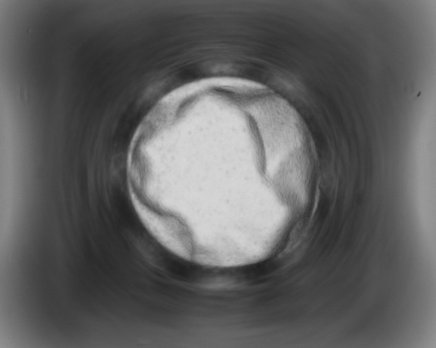X0000086240175200704261923