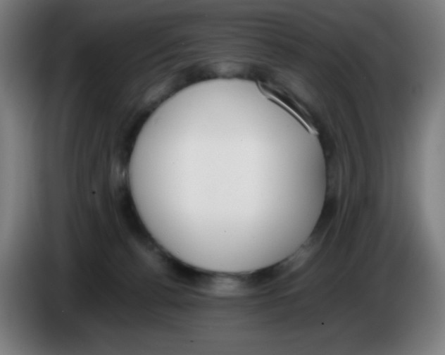 X0000086240176200704261923