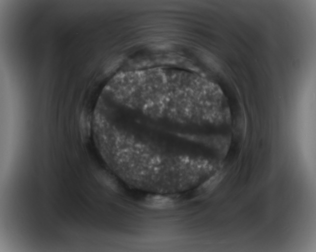 X0000086240180200704261923