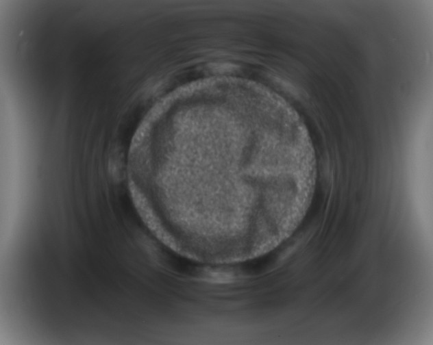 X0000086240181200704261923
