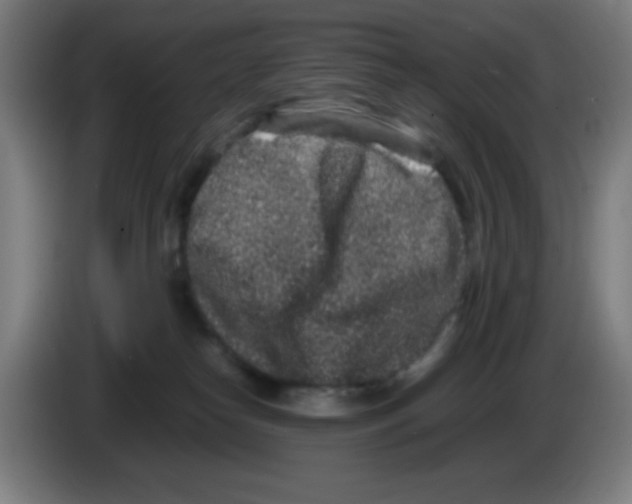 X0000086240182200704261923