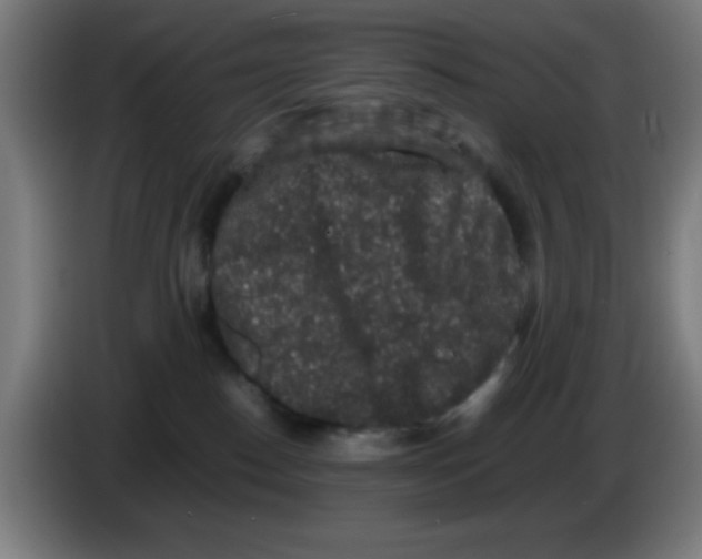 X0000086240186200704261923