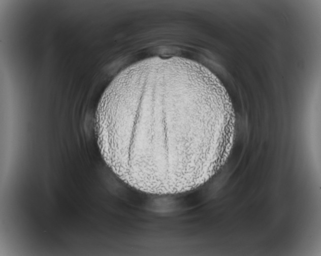 X0000086240189200704261923