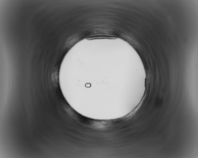 X0000086240190200704261923