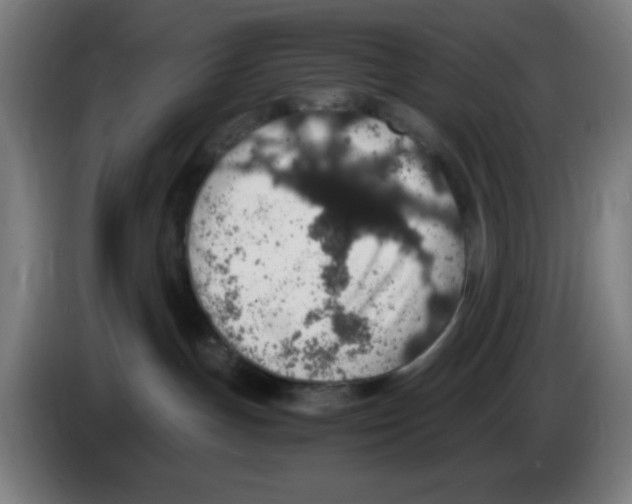 X0000086240191200704261923