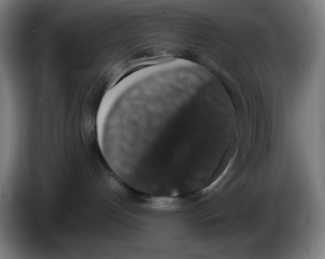 X0000086240192200704261923
