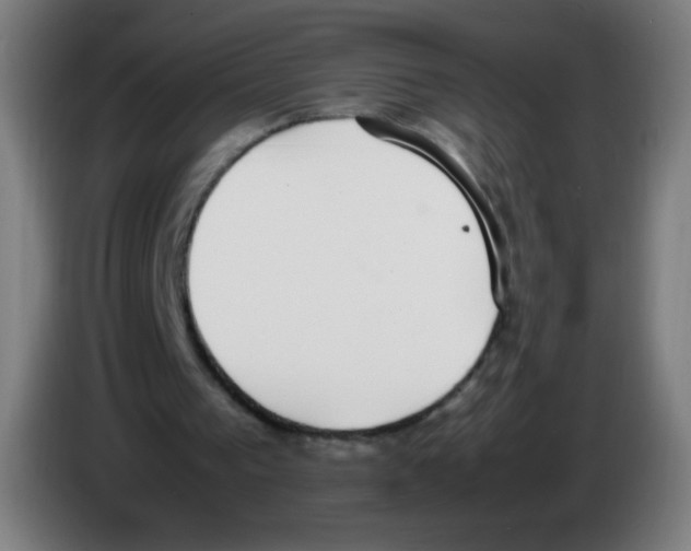 X0000086240193200704261923