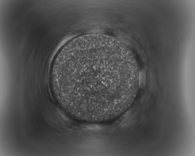 X0000086240195200704261923