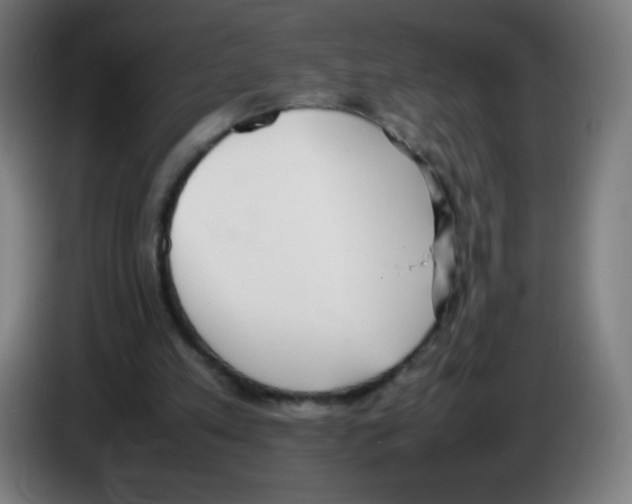 X0000086240197200704261923