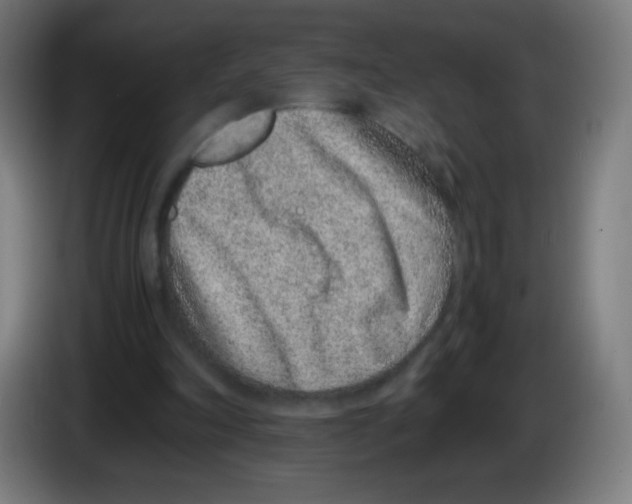 X0000086240198200704261923