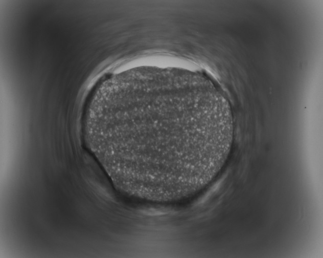 X0000086240199200704261923