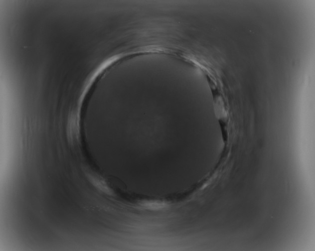 X0000086240200200704261923