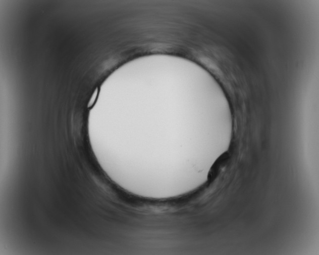 X0000086240201200704261923