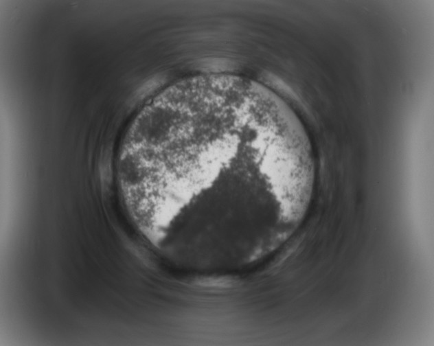 X0000086240202200704261923
