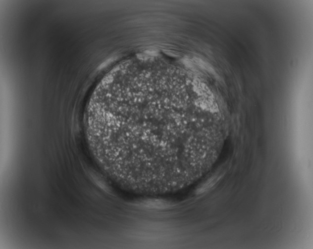 X0000086240203200704261923