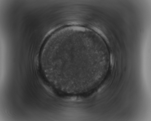 X0000086240204200704261923