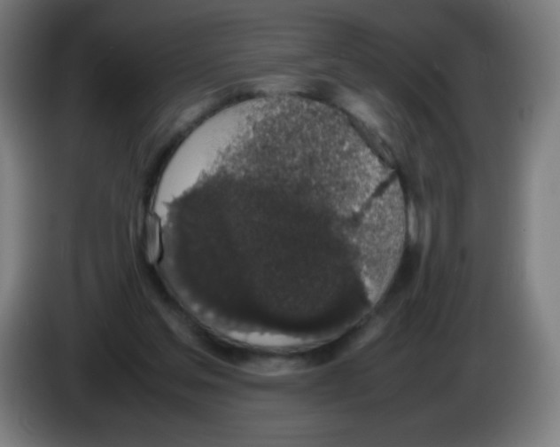 X0000086240205200704261922