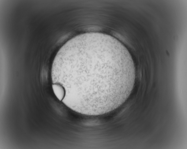 X0000086240206200704261922