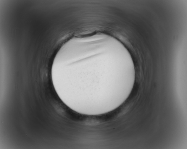 X0000086240207200704261922