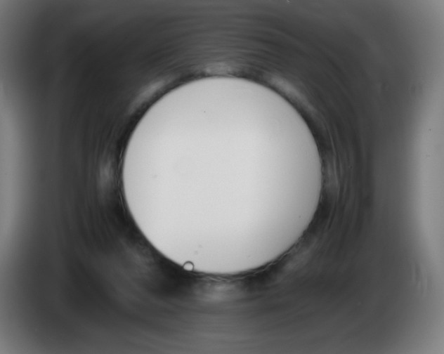 X0000086240208200704261922