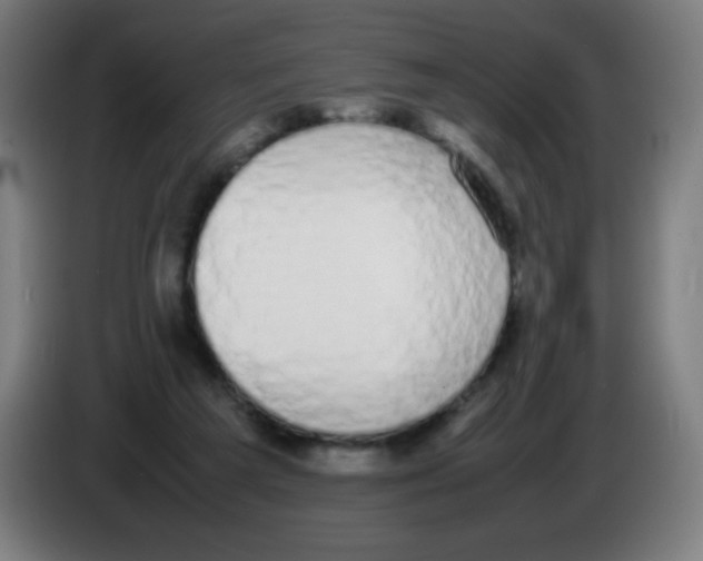 X0000086240209200704261922