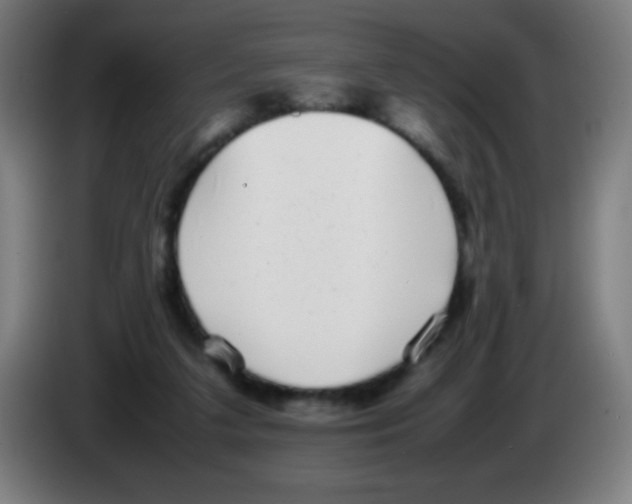 X0000086240211200704261922