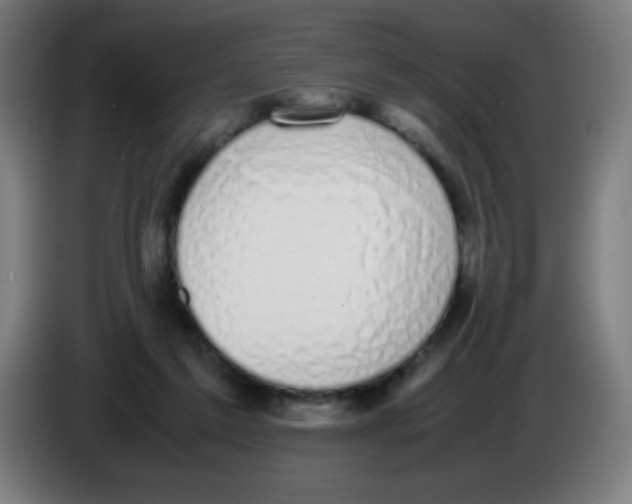 X0000086240213200704261922