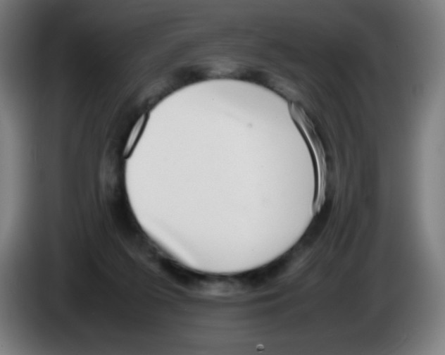 X0000086240215200704261922