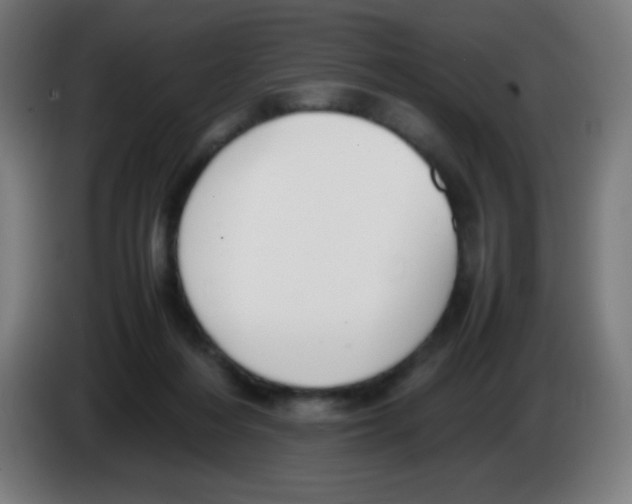 X0000086240216200704261922