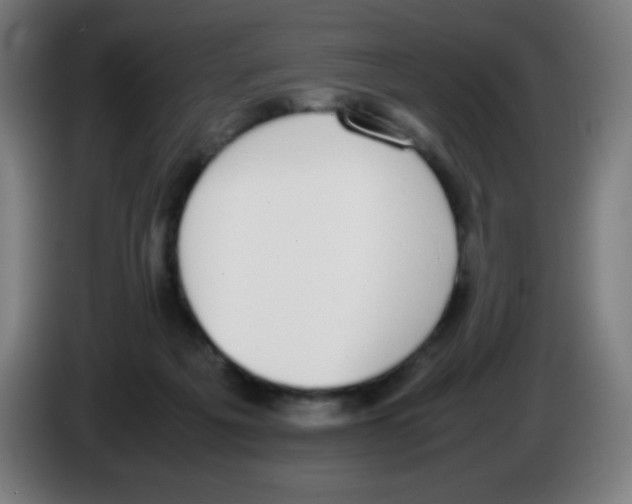 X0000086240217200704261922