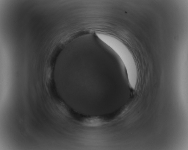 X0000086240219200704261922