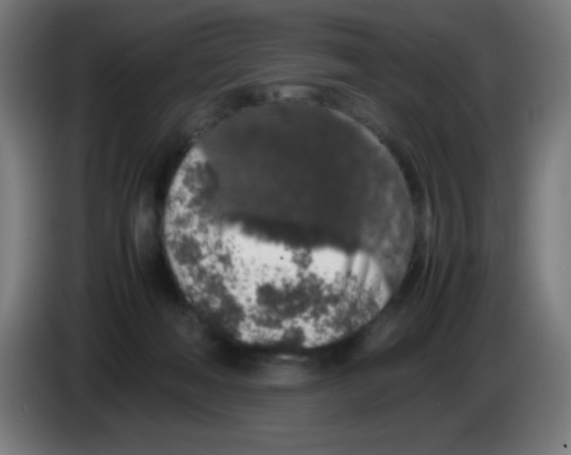 X0000086240222200704261922