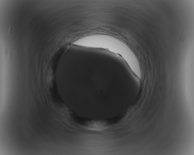 X0000086240223200704261922
