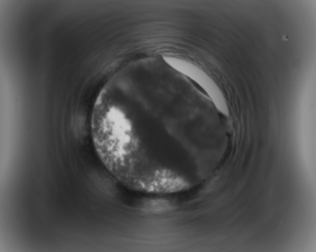 X0000086240224200704261922