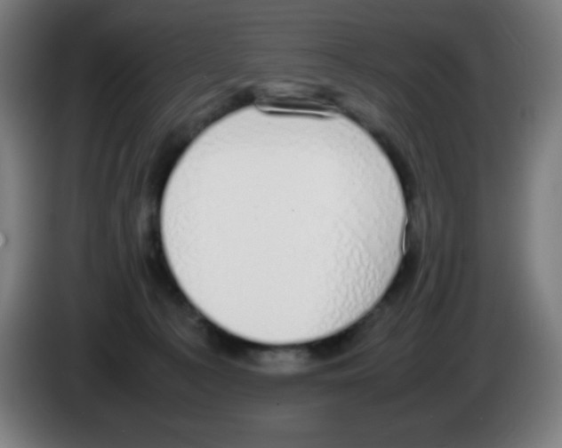 X0000086240225200704261922