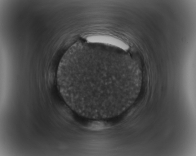 X0000086240227200704261922