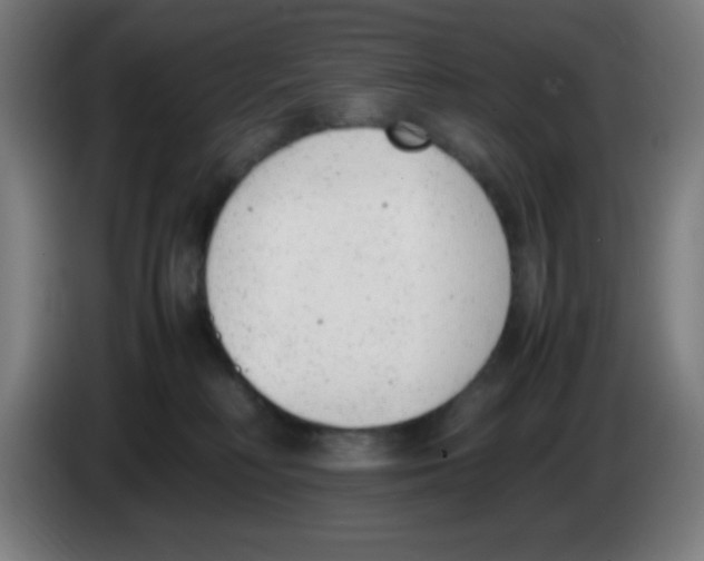 X0000086240230200704261922