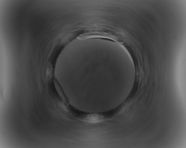 X0000086240231200704261922