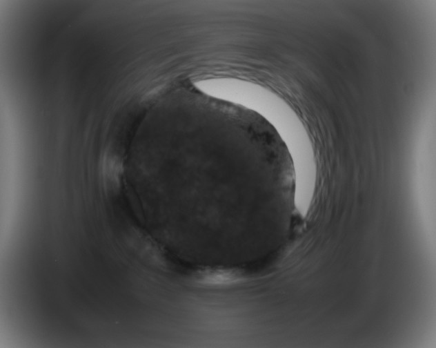 X0000086240235200704261922