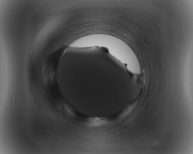 X0000086240239200704261922