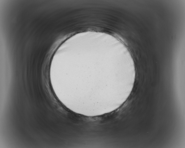 X0000086240241200704261921